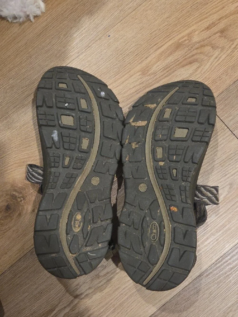 Chaco Olive and Tan Striped Webbing Sandals Needs Wiped Down